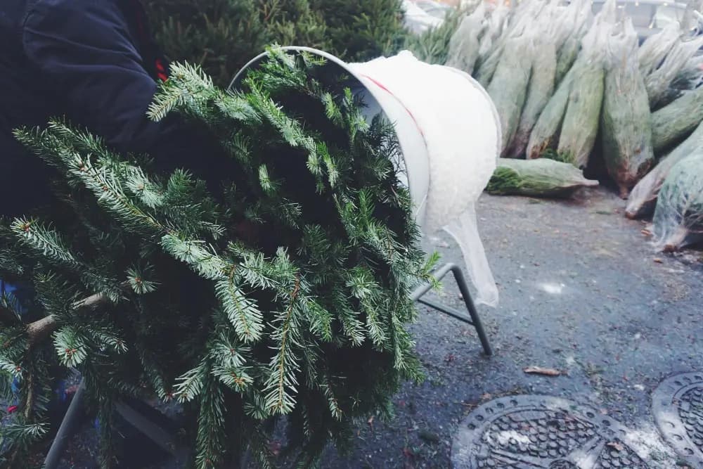 Printed LDPE Christmas tree removal bags