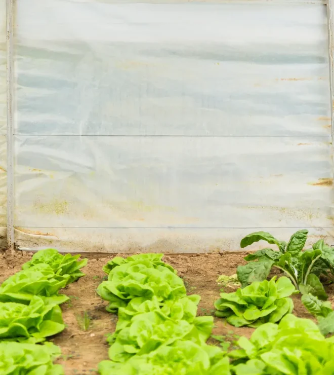 Fabrics for Agricultural Covers best factory kt canada india usa japan
