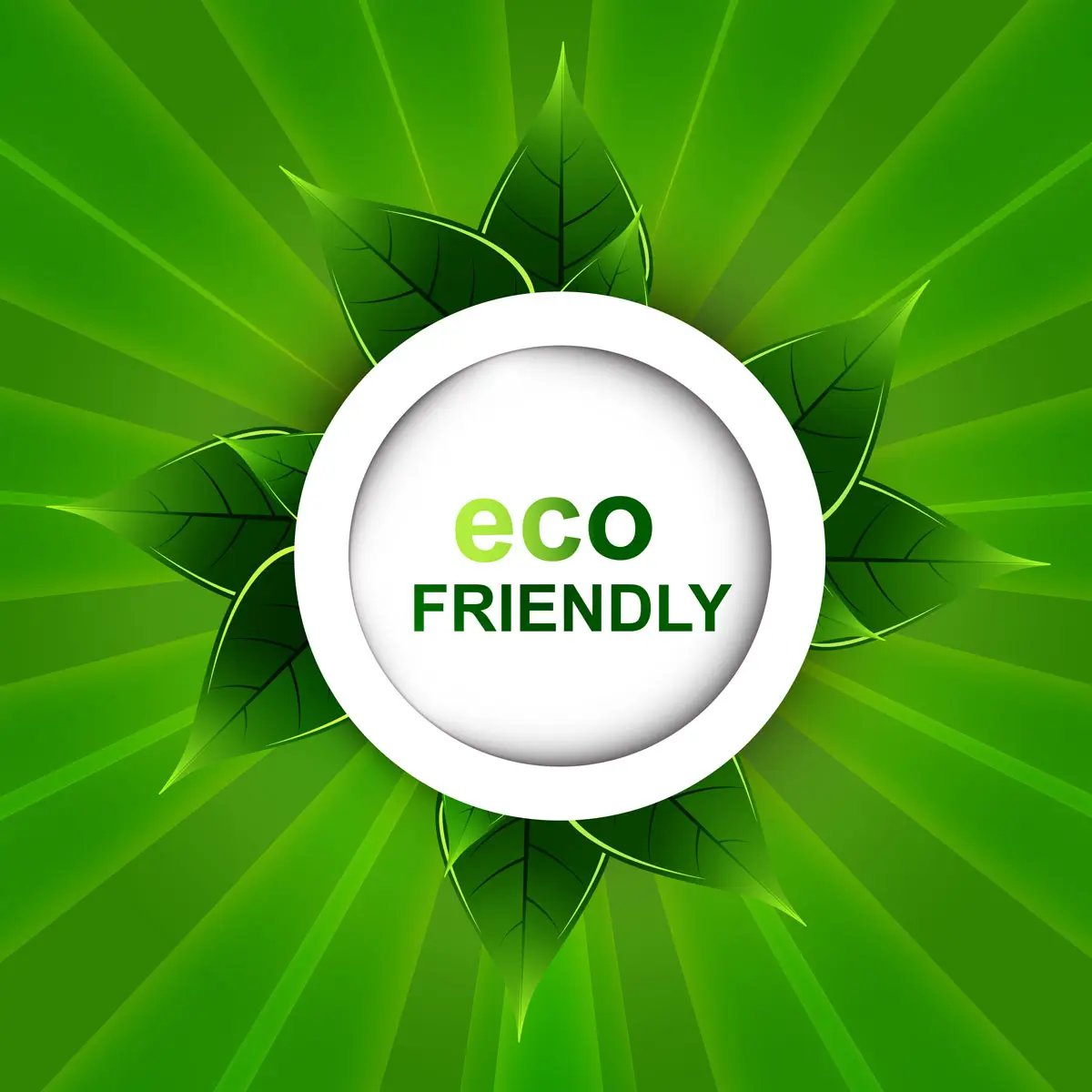 eco friendly kt canada