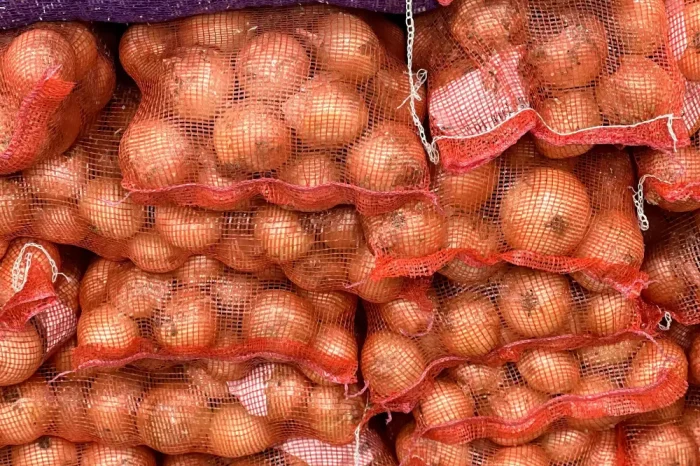 onion mesh bags lots production export sale kt canada